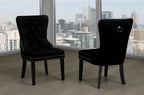 T246 Dining Chairs 2pcs