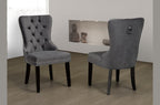 T246 Dining Chairs 2pcs